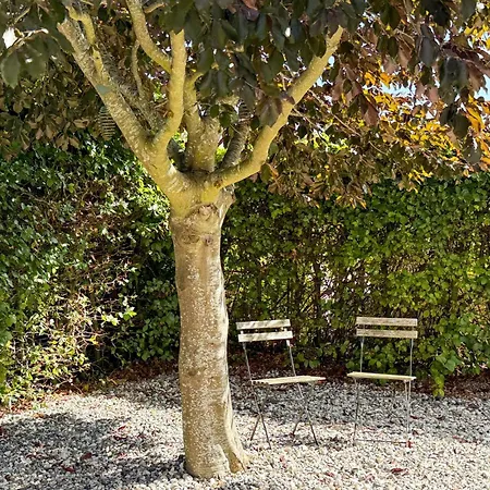 بيت للعطل 4 Bedroom Pet Friendly In
